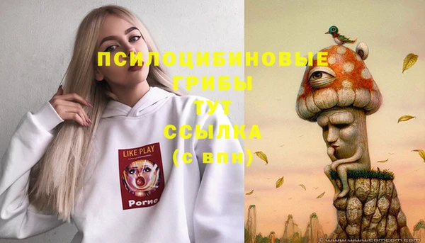 а пвп мука Баксан