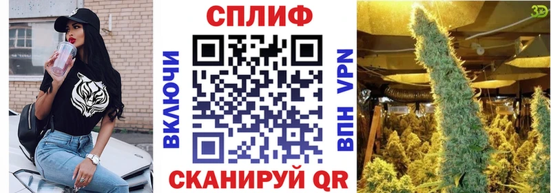 Конопля Bruce Banner  Купить где  Урус-Мартан 